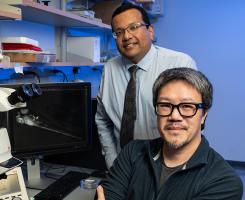 Manush Saydmohammed and Michael Tsang with a microscope in the lab